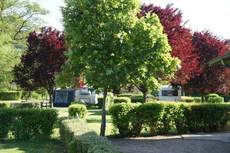 Camping de la Sioule — photo 3